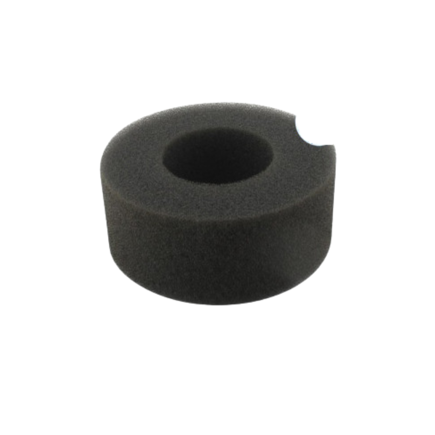 50170F/P9/7 Filtro de aire esponja Motobomba Ducati DCW50