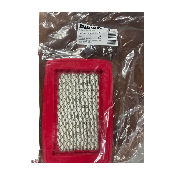 DBL3100S.2.39 ELEMENTO FILTRANTE